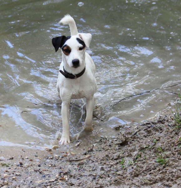 Easy love Au Cours De L'Eau