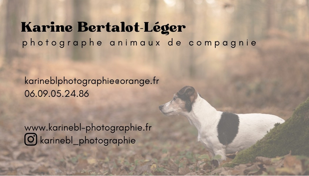 Photographe animalier