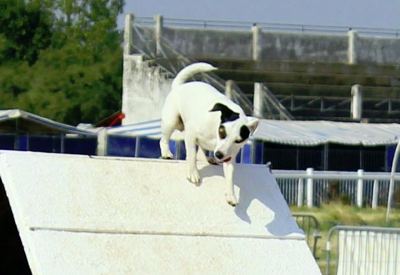Agility